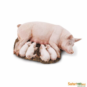 SivÄnu mÄte ar sivÄniem